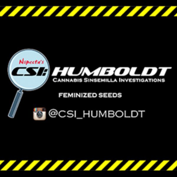 csihumboldtlogo_edited.jpg