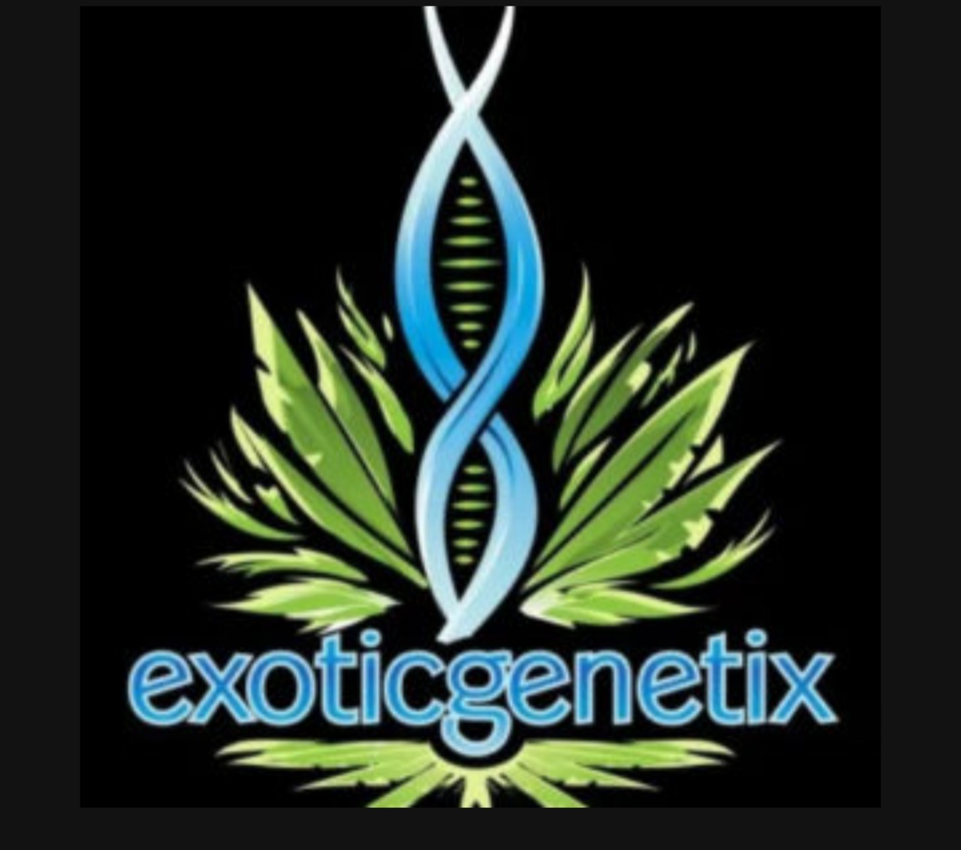 exoticgeneticslogo_edited.jpg