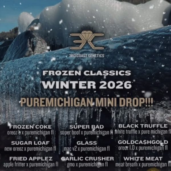 3RD COAST GENETICS - FRIED APPLES (ORDERS WILL SHIP WITHIN 2 WEEKS OF PAYMENT RECEIVED) (Copy)