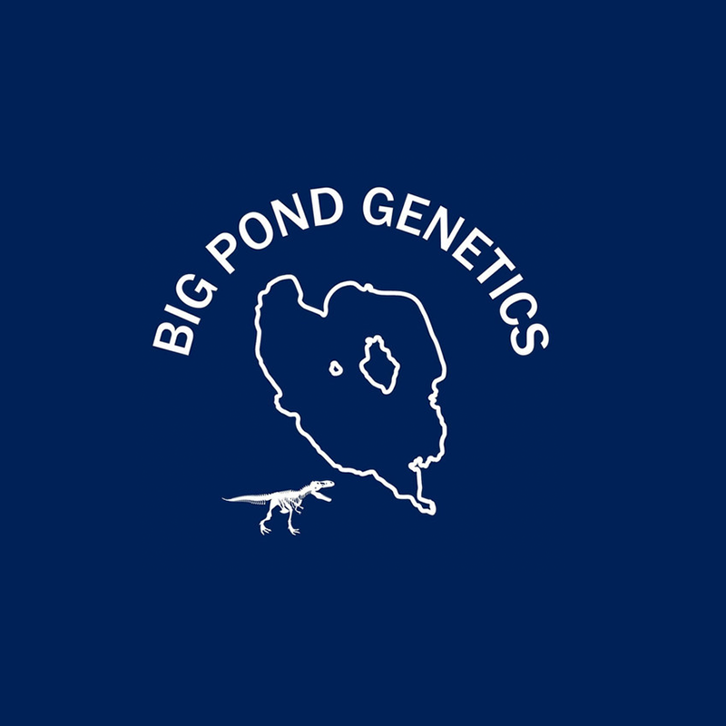 Breeders – Darkstar Seedbank