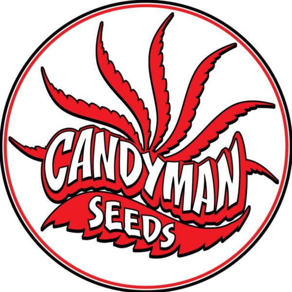Candyman Seeds