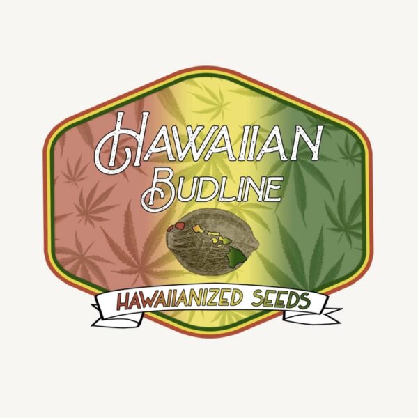 Hawaiian Budline