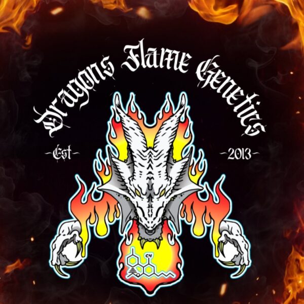 Dragons Flame Genetics