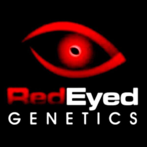 RED EYED GENETICS