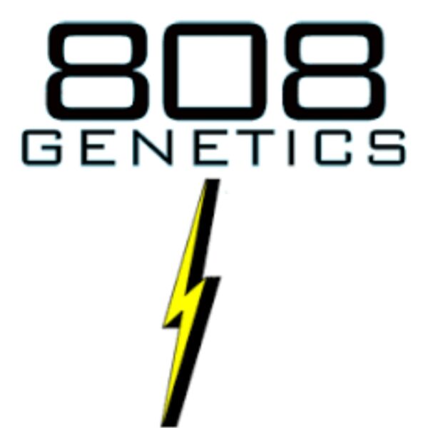 808genetics_edited.jpg