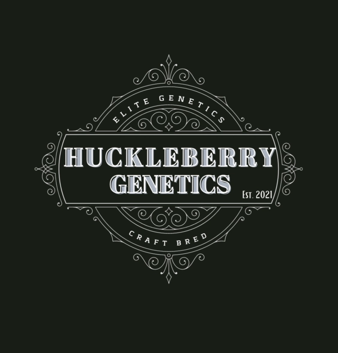 huckleberrygeneticslogo_edited.jpg