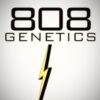 808genetics_edited_edited.jpg