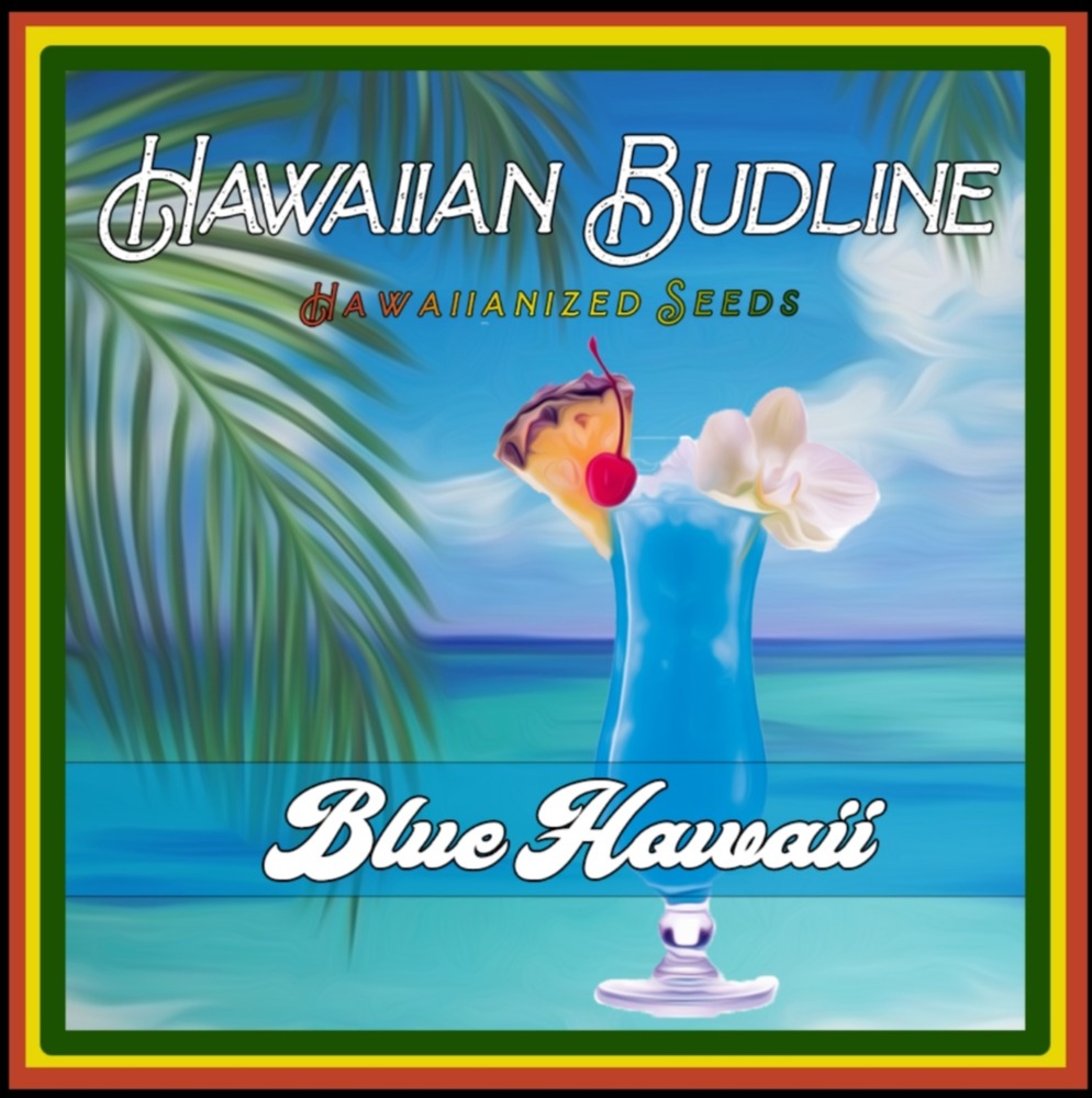 hawaiianbudlineBLUEHAWAII_edited.jpg