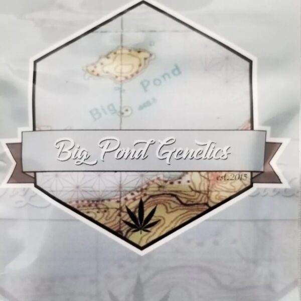 bigpondlogo_edited.jpg