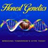 honestgeneticslogo.jpg