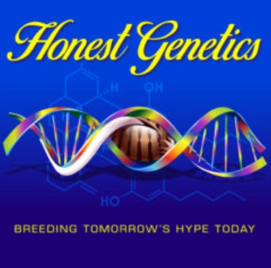 honestgeneticslogo.jpg