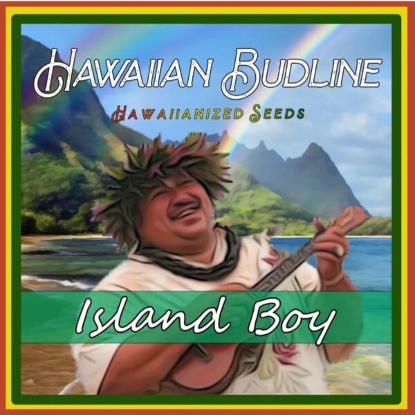 hawaiianbudlineislandboy_edited.jpg