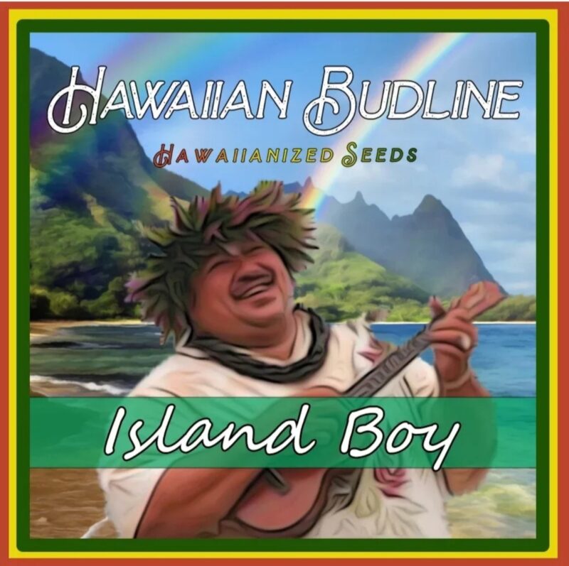 hawaiianbudlineislandboy_edited.jpg