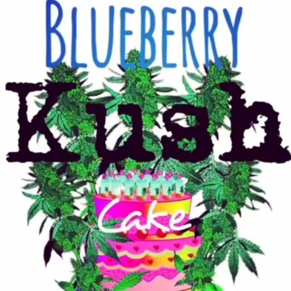 UFOGeneticsblueberrykushcakepromo_edited.jpg