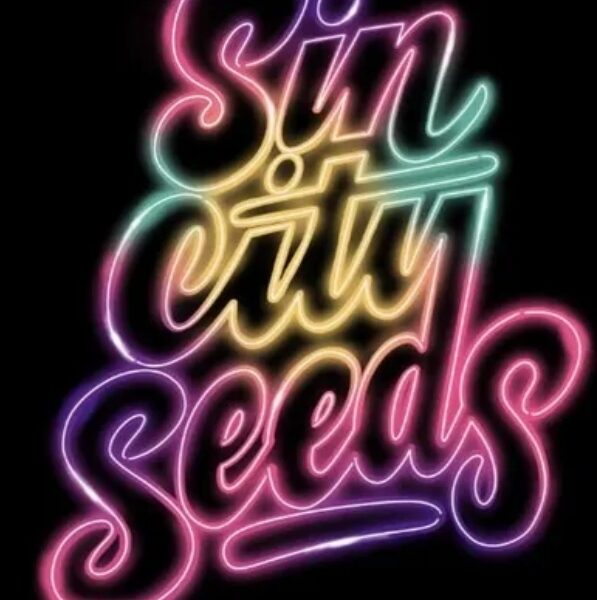 Sin City Seeds