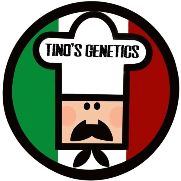 Tino's Genetics