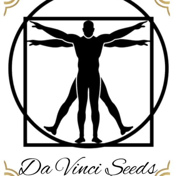Da Vinci Seeds