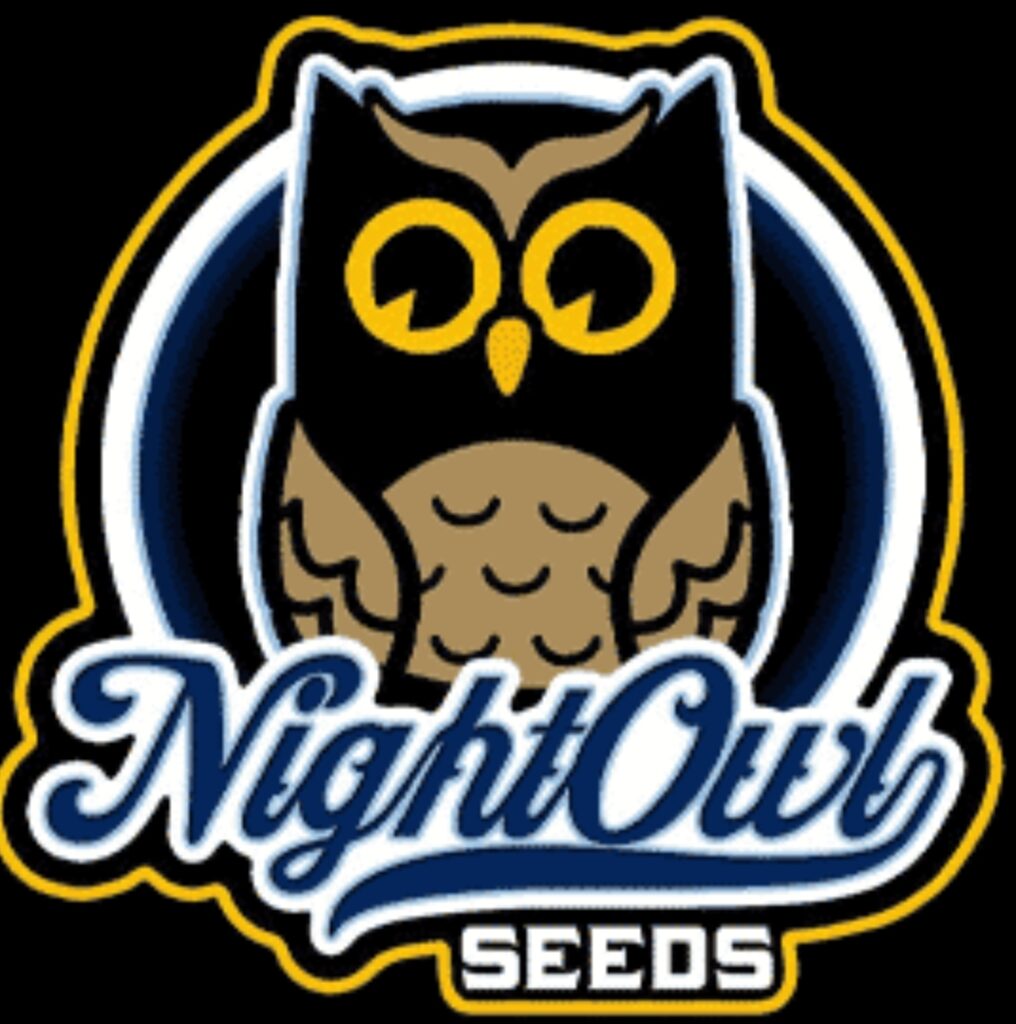 NIGHT OWL SEEDS BLUE SPRAYED SHOES (REMIX) (SECRET OWL SOCIETY