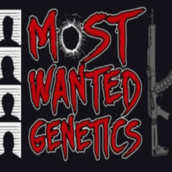 Most Wanted Genetics