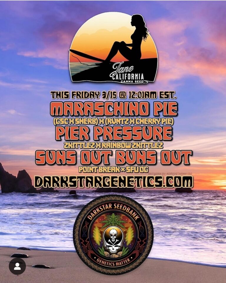JANE CALI CANNA SEED PIER PRESURE Darkstar Seedbank