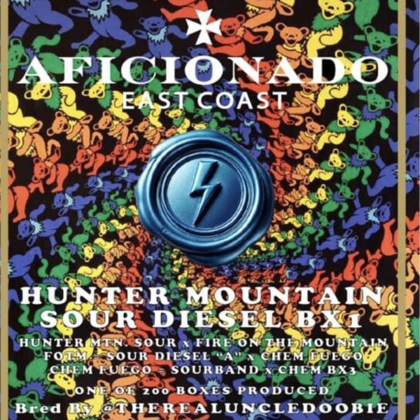 AFICIONADO / UNCLE DOOBIE - HUNTER MOUNTAIN SOUR DIESEL BX1