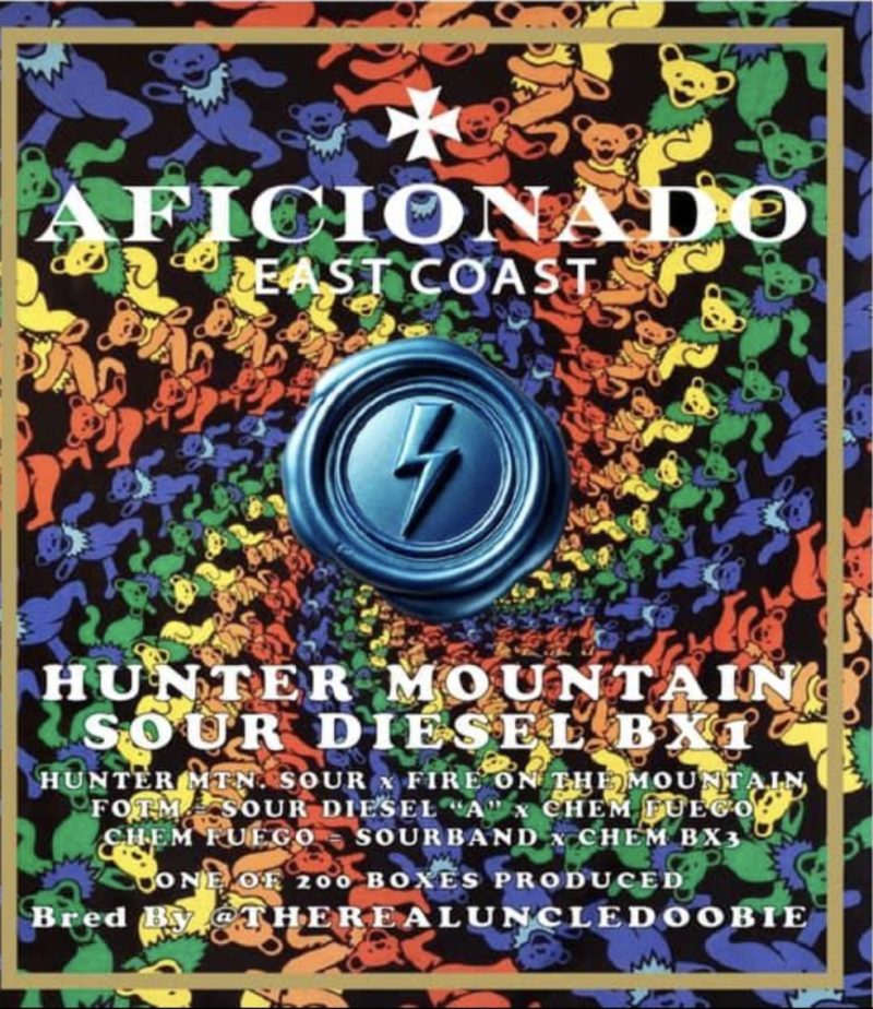 AFICIONADO / UNCLE DOOBIE - HUNTER MOUNTAIN SOUR DIESEL BX1