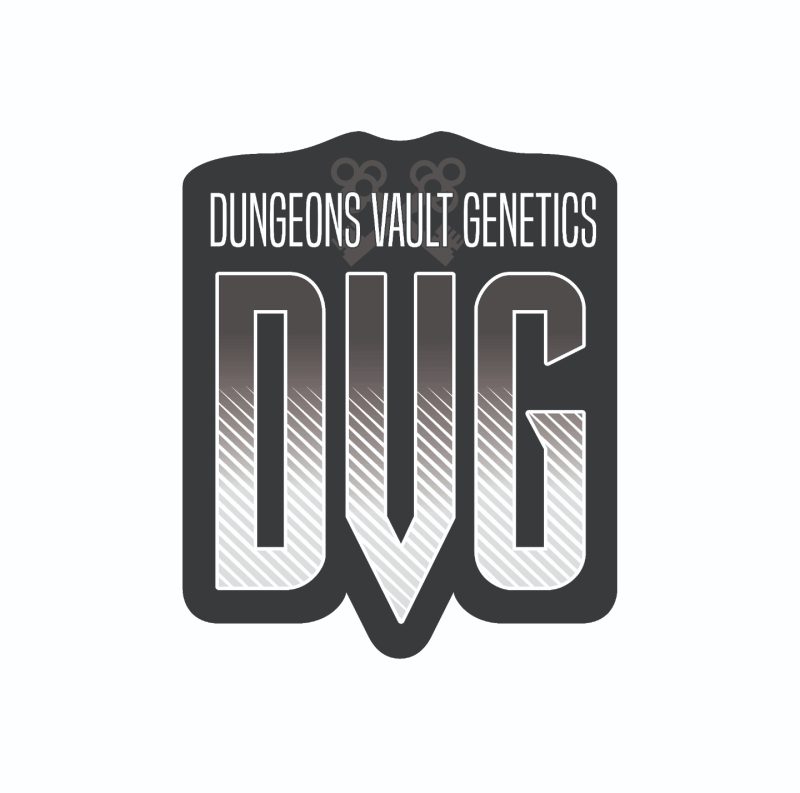 DUNGEONS VAULT GENETICS - BLACK ZUGAR (CANNARADO COLLAB)