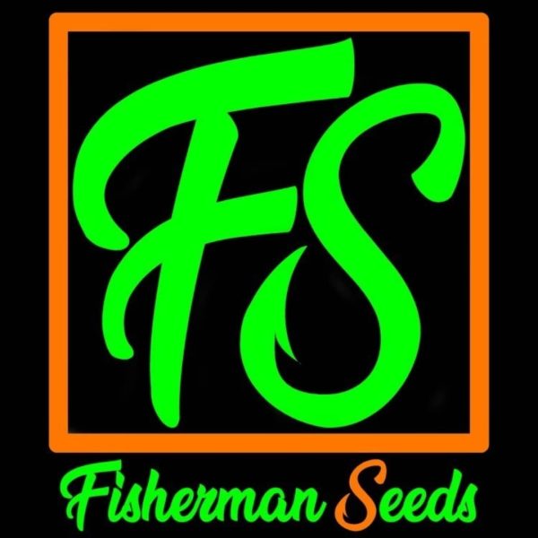 FISHERMAN SEEDS - SHERB CITY