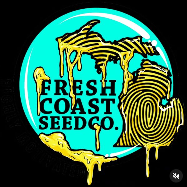 FRESH COAST SEED CO / SPACEBERRY CANNA / JEDI GENETIXX - SUNDAE MUFFIN